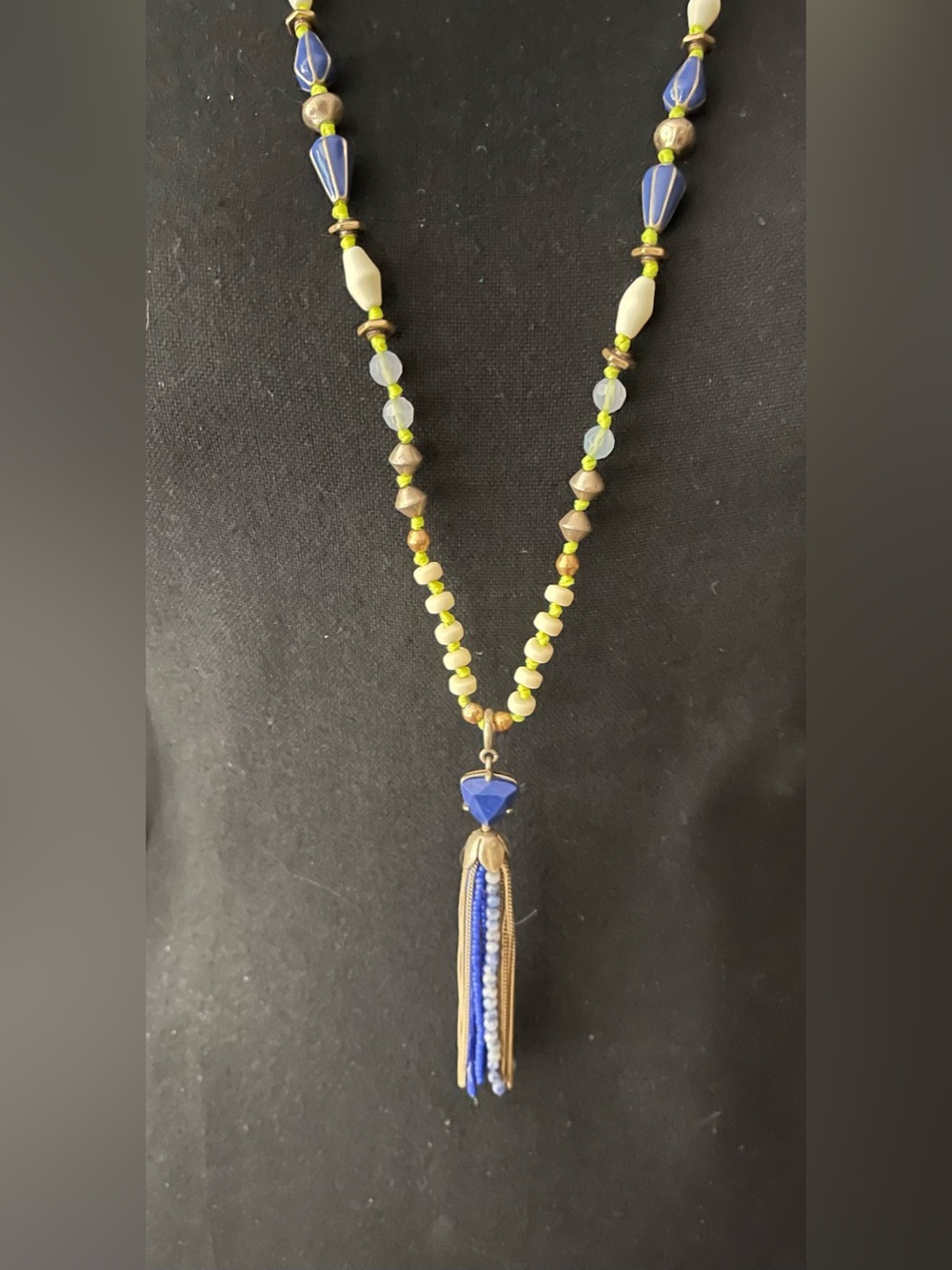 Azure Tassel Stella & Dot Long Necklace - N519